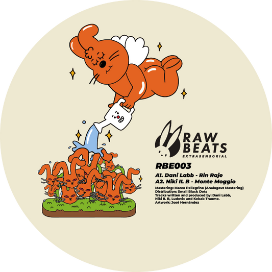 Vinyl record cover with cartoon design and 'Raw Beats' branding