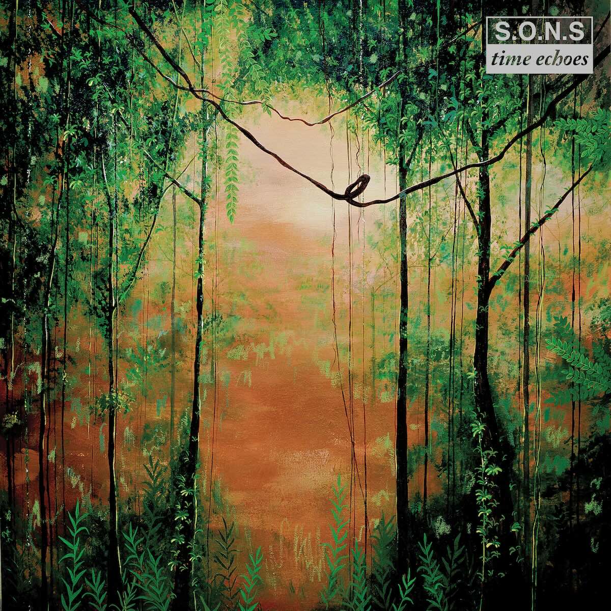 S.O.N.S Time Echoes Junction Forest SHROOM11 vinyl record Australia