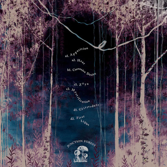 S.O.N.S Time Echoes Junction Forest SHROOM11 vinyl record Australia