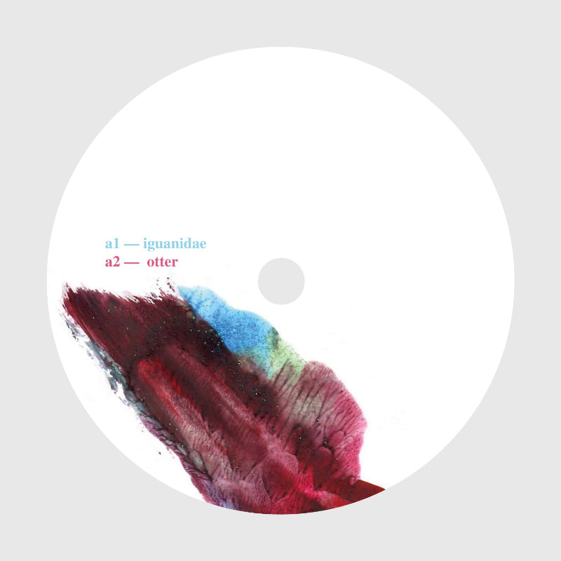 Vinyl record with colorful design and text on a gray background