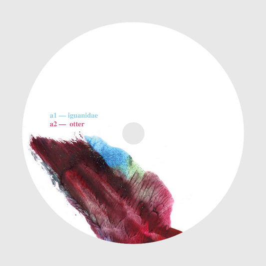 Vinyl record with colorful design and text on a gray background