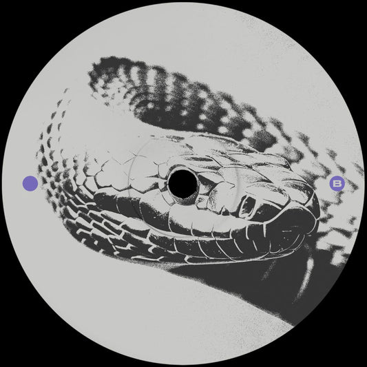 Rill Friss SIDE B SIDEB002 12 inch techno vinyl 180g Australia