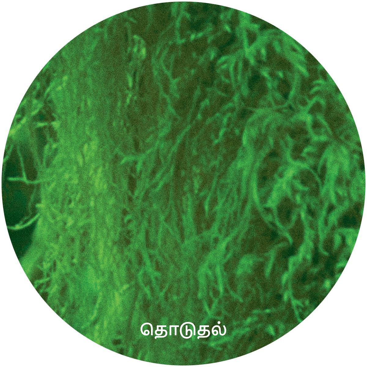 Jay York Viaje Toca TC03 techno vinyl record Australia