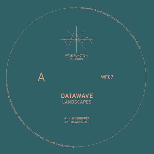 Album cover for 'Datawave Landscapes' by Wave Function Records on a teal background.