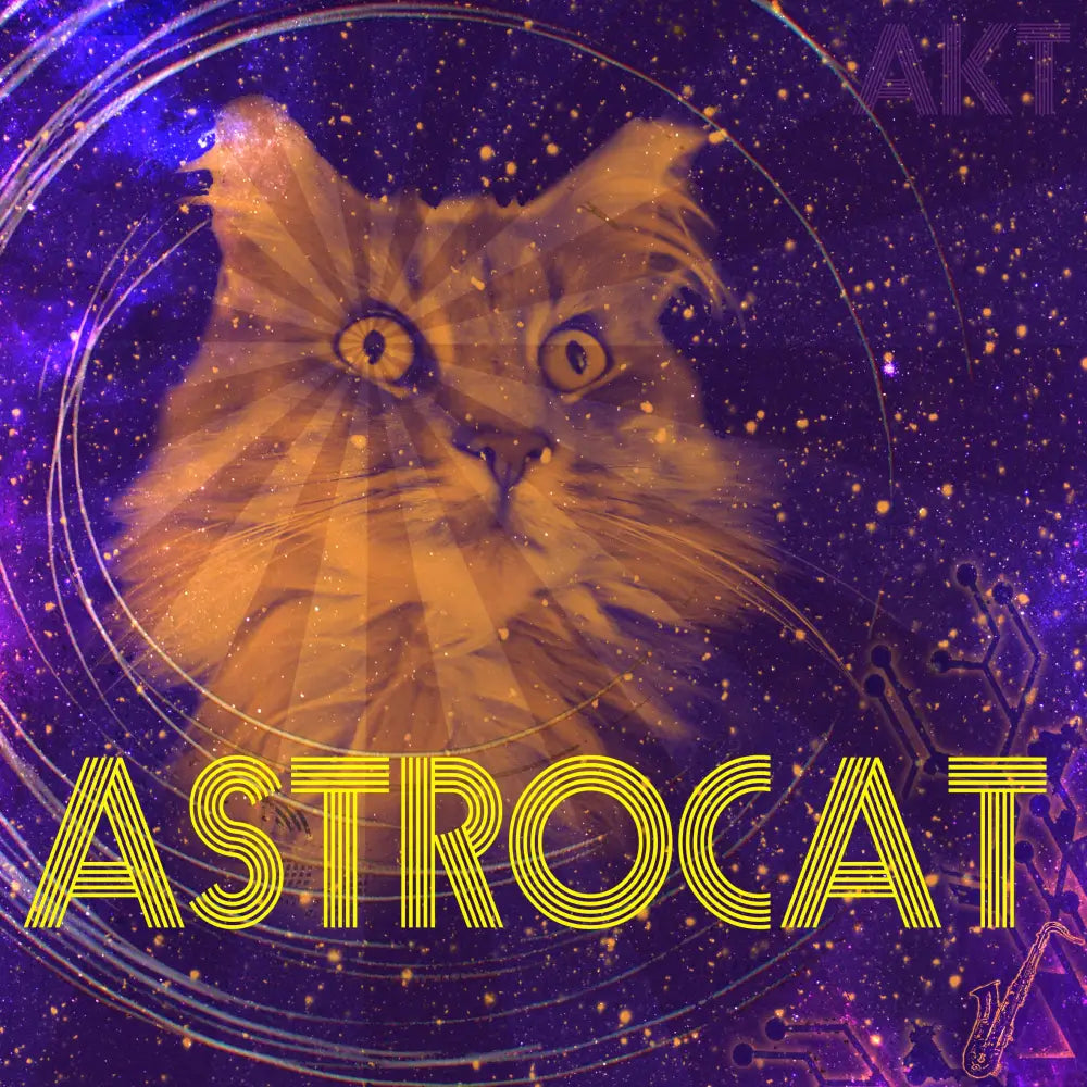 Arkist - Astrocat EP (appleblim remix) I honey glazed records (hgr006) • 12 Vinyl • Disco, Electro, Funk, Synth-pop - Fast