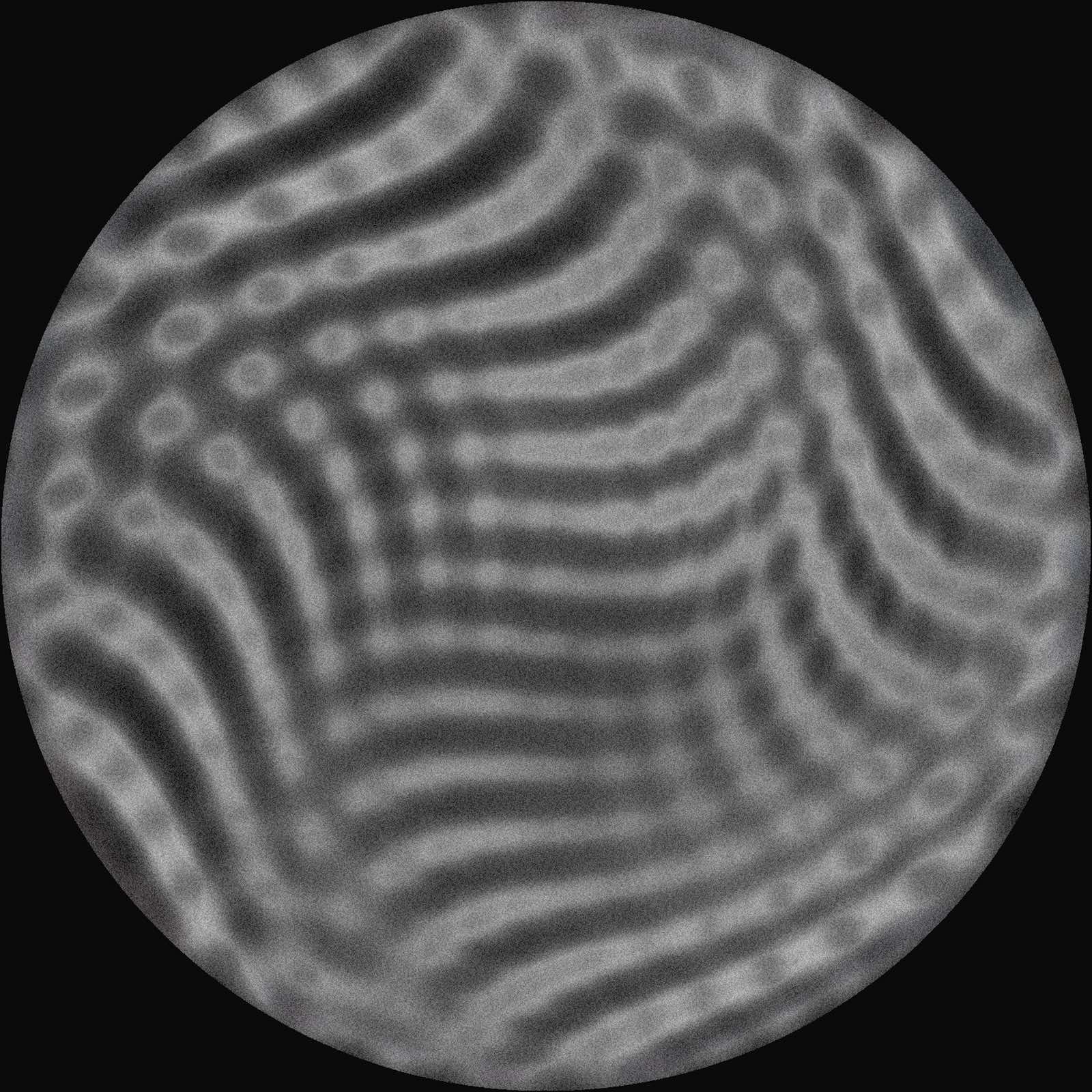 Tadan – Muses area127 127AREA005 techno vinyl Australia