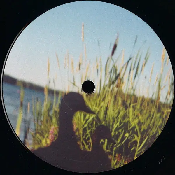 Johan Kaseta - The Erefora Land | Lehult (LHLT008) • Vinyl • Deep House - Fast shipping