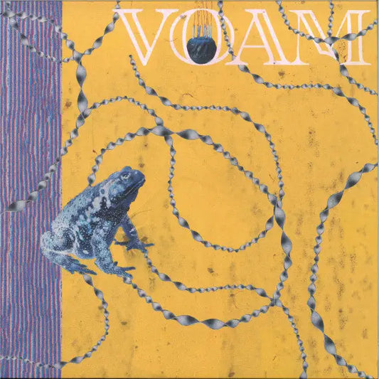 Karenn - Everything Is Curly | Voam (VOAM011) • Vinyl • Techno - Fast shipping