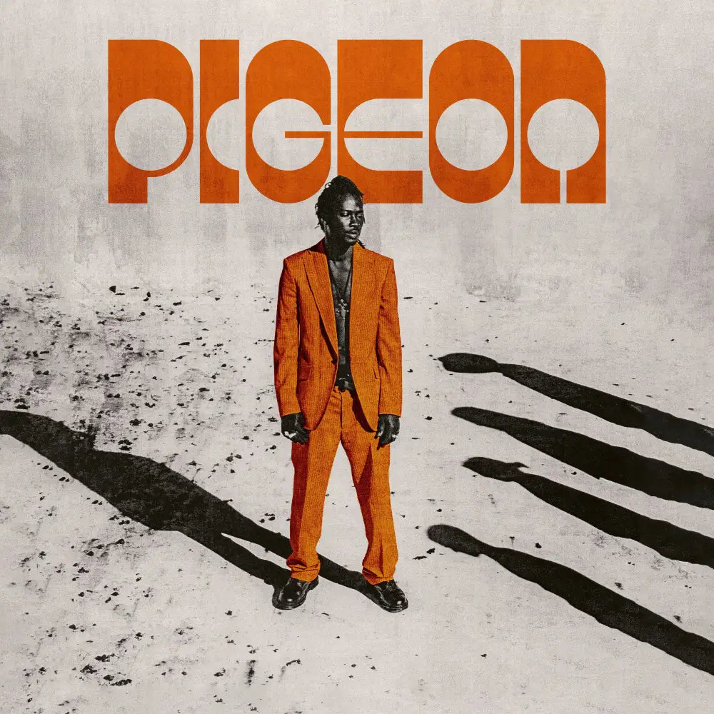 Pigeon - Backslider | Soundway (SNDW12052) • Vinyl • African, Afrobeat, Disco, New Wave - Fast shipping