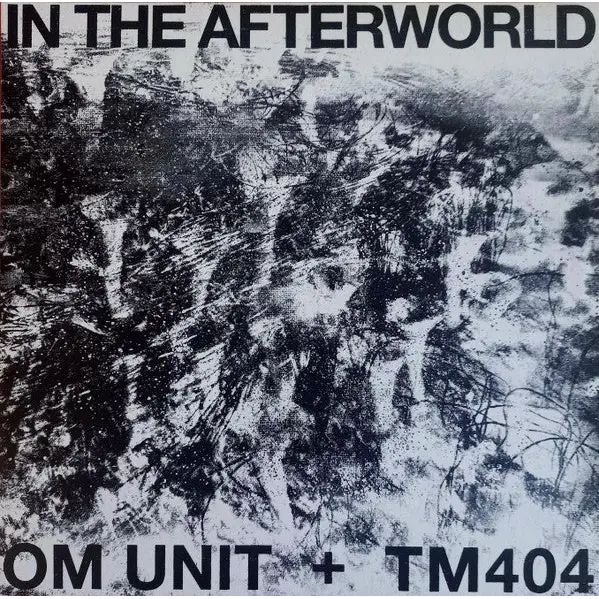 Om Unit & TM404 - In The Afterworld | Acid Test (ATLP17) • Vinyl • Acid, Dub - Fast shipping
