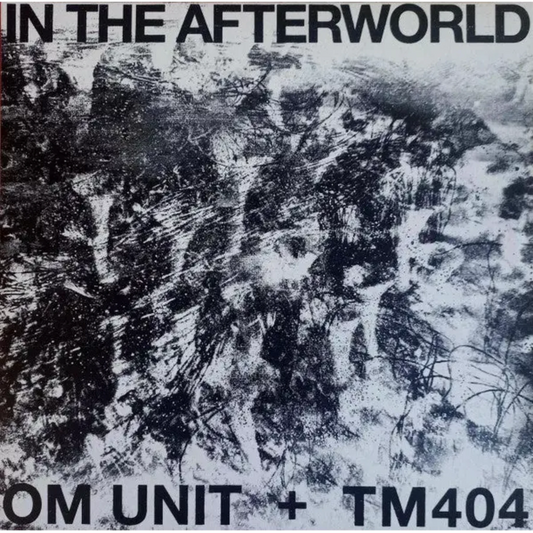 Om Unit & TM404 - In The Afterworld album cover